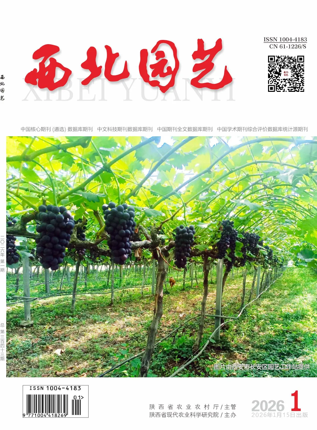 西北园艺