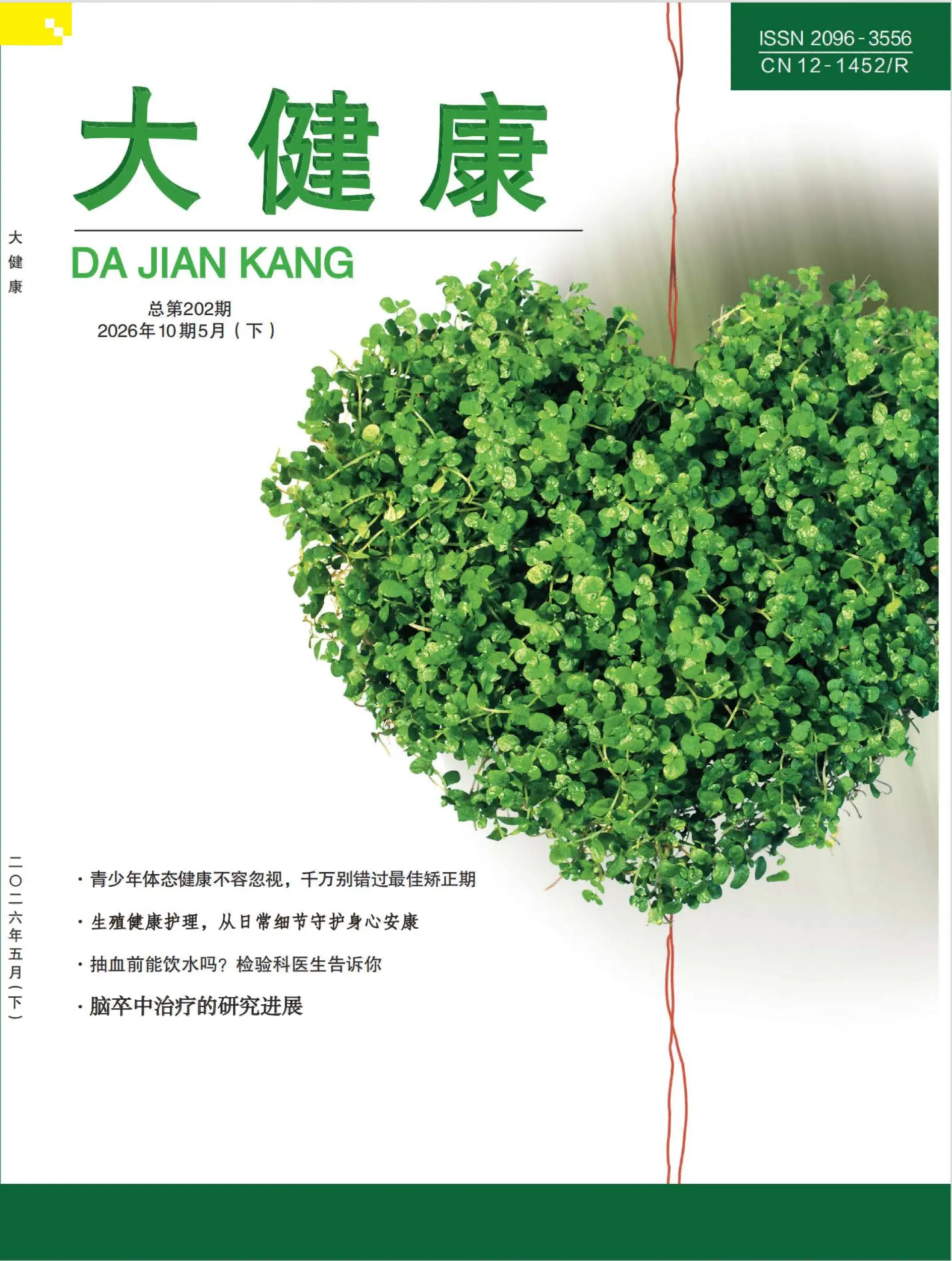 大健康